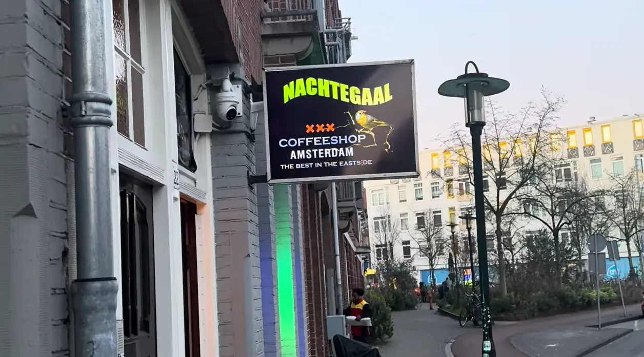 Nachtegaal
