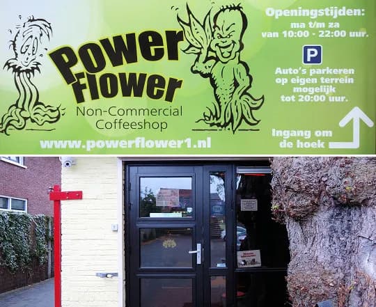 Flower Power