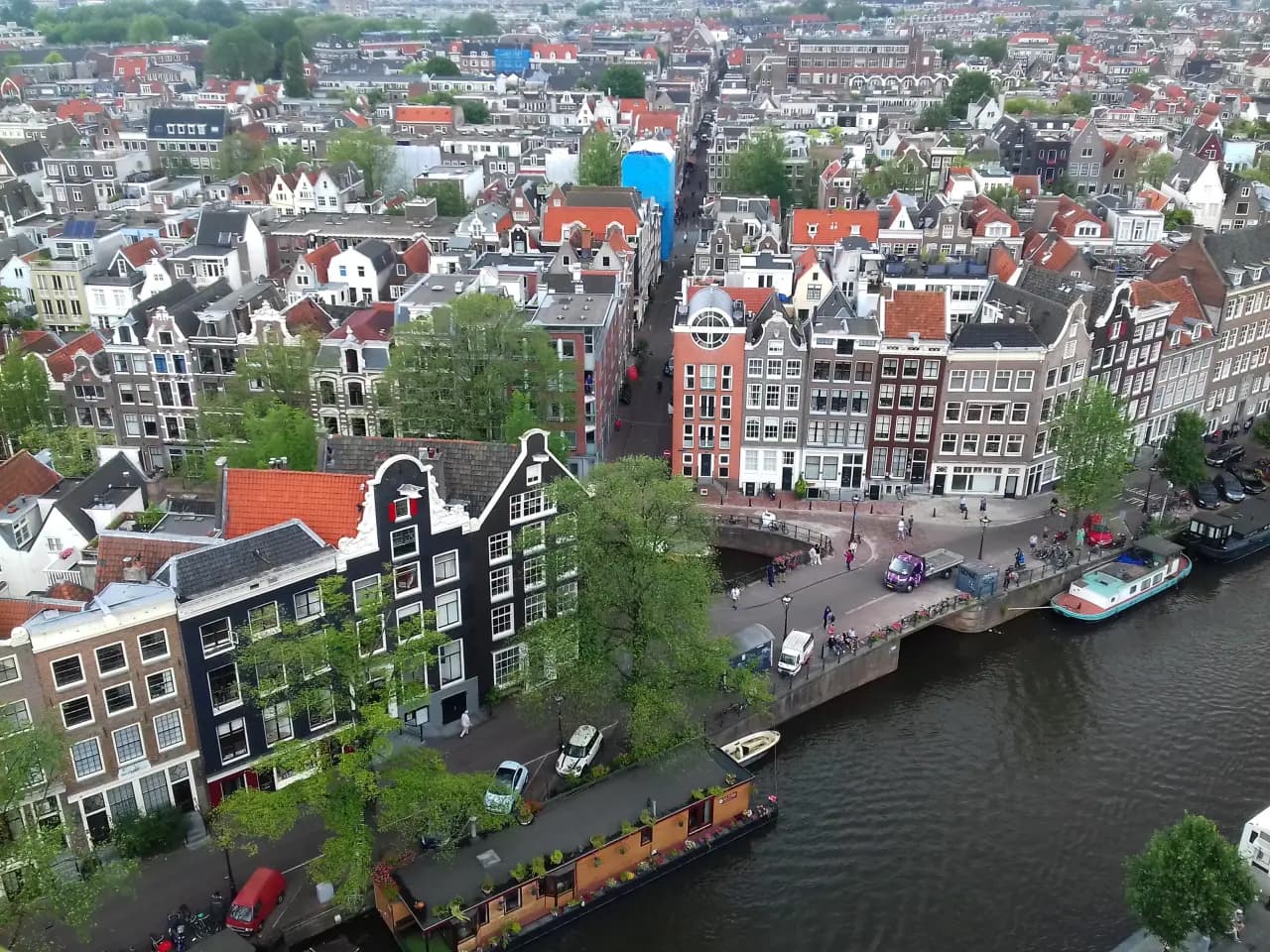 Amsterdam Coffeeshop Neighborhood Guide: Which Area to Visit Based on What You Want