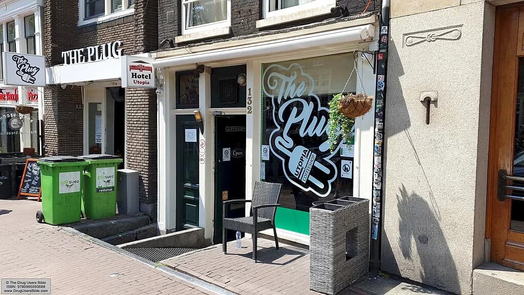 The Plug Store