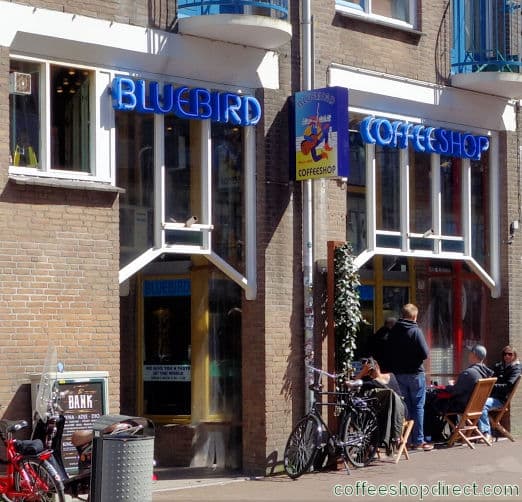 Bluebird
