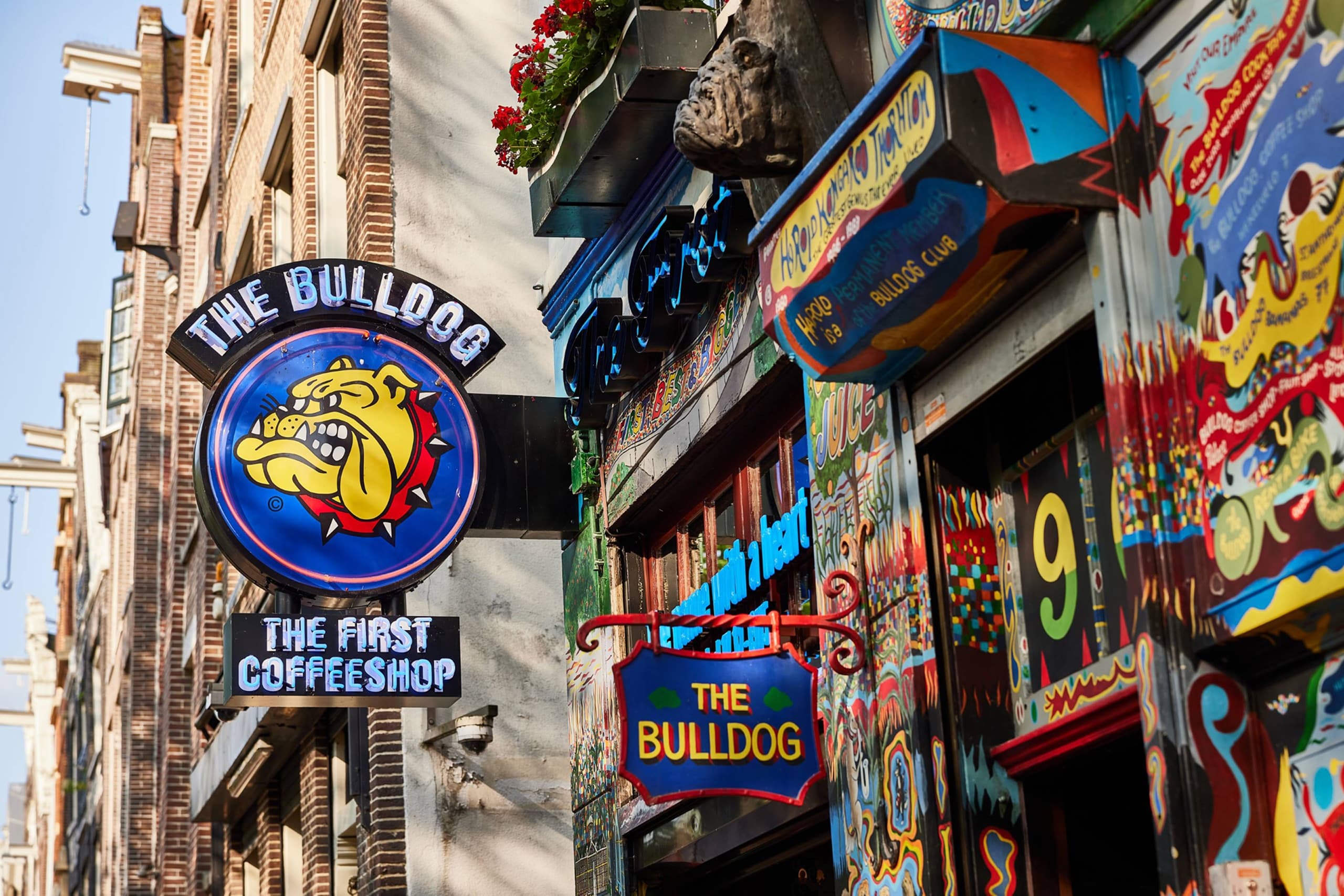 The Bulldog The First