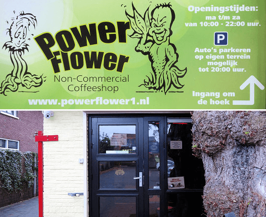 Flower Power