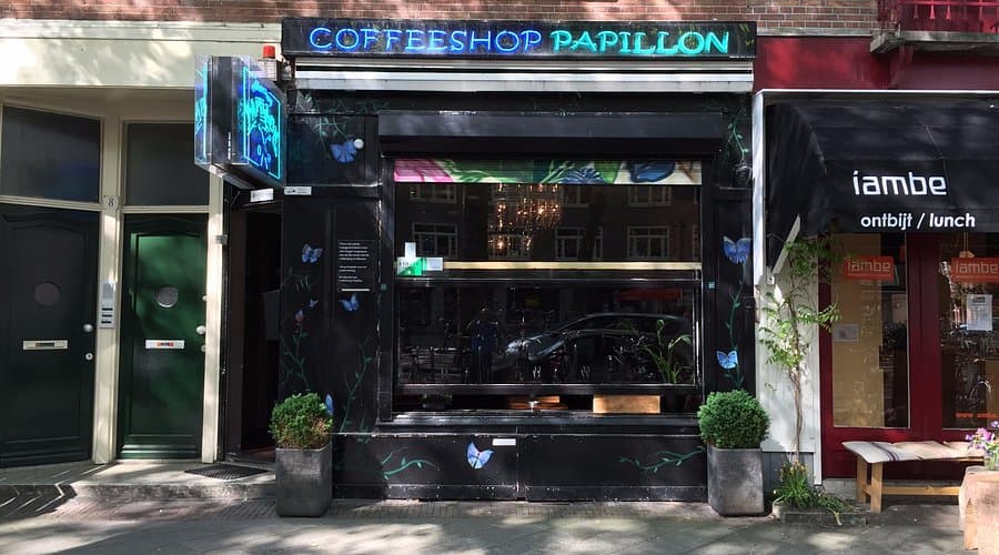 Papillon