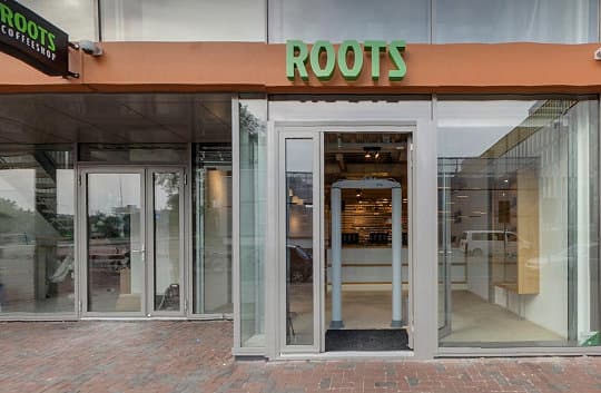 Roots