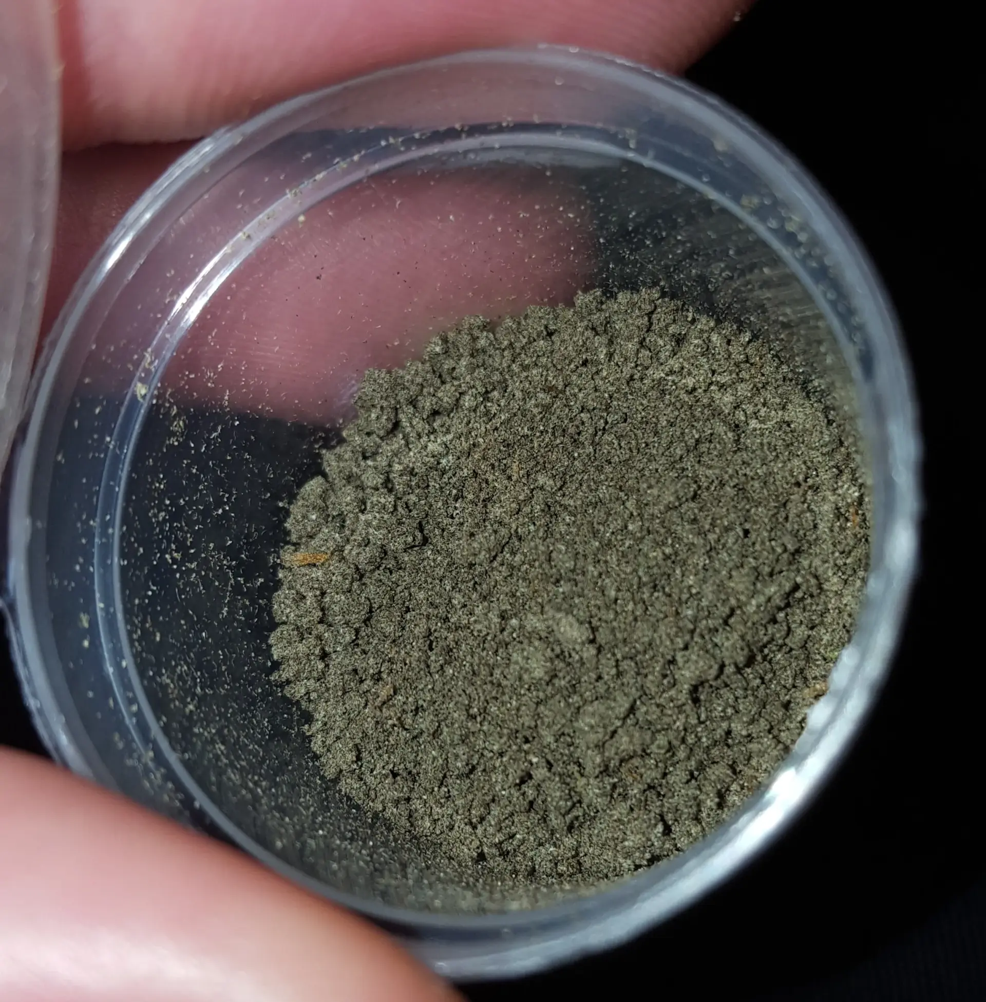 Amsterdam Hash & Solventless Extracts: Traditional Imports to Rosin (2026)