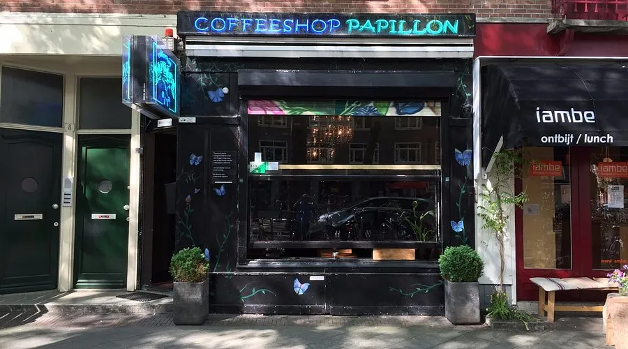 Papillon